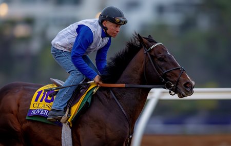 Sovereignty trains at Del Mar ahead of the Breeders' Cup Classic