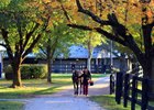 Scenics, Fasig-Tipton October Sale 2025