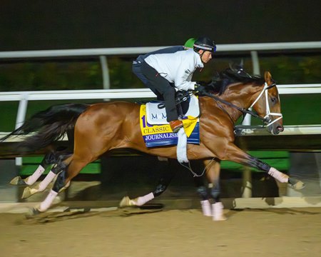 Journalism working with Legitmate at Del Mar