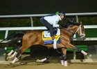 Journalism working with Legitmate at Del Mar with Breeders’ Cup contenders at Del Mar Thoroughbred Club in Del Mar, CA,  on Oct. 26, 2025.