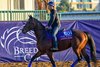 Arizona Blaze
Morning training at Del Mar with Breeders’ Cup contenders at Del Mar Thoroughbred Club in Del Mar, CA, on Oct. 28, 2025.