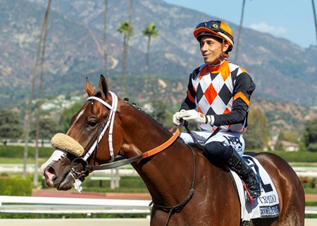 Intrepido and jockey Hector Berrios after winning the American Pharoah Stakes at Santa Anita Park