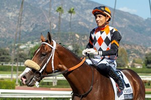 Intrepido and jockey Hector Berrios after winning the American Pharoah Stakes at Santa Anita Park