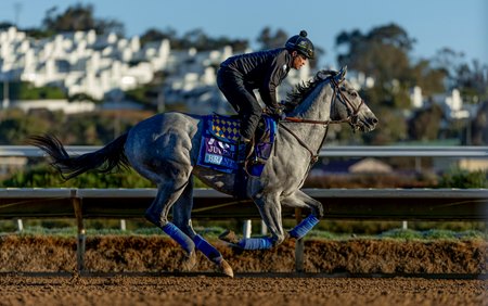 Brant trains ahead of the Breeders' Cup Juvenile at Del Mar