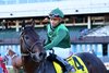 Bottas wins the 2025 Pilgrim Stakes at Aqueduct Racetrack