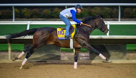 Sovereignty trains Oct. 27 at Del Mar