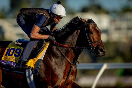Sierra Leone gallops Oct. 29 at Del Mar