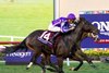 Gstaad with Christophe Soumillon wins the Juvenile Turf (G1T) at Del Mar Racetrack in Del Mar, CA on October 31, 2025.