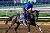 Rebel's Romance
Morning training at Del Mar with Breeders’ Cup contenders at Del Mar Thoroughbred Club in Del Mar, CA,  on Oct. 28, 2025.