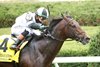Troubleshooting wins the 2025 Bryan Station Stakes at Keeneland