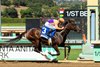 Spendthrift Farm’s Tamara and jockey Mike Smith win the Grade III $100,000 Chillingworth Stakes Saturday, October 4, 2025 at Santa Anita Park, Arcadia, CA. The Richard Mandella-trainee is the daughter of fan-favorite champion Beholder.
Benoit Photo