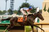 Incredibolt, a 2yo colt by Bolt d'Oro, wins the GIII Street Sense S. at Churchill Downs on 10/26/2025 to earn 10 points towards the Kentucky Derby. He was ridden by jockey Jaime Torres for trainer Riley Mott, and owner Pin Oak Stud LLC.