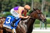 Spendthrift Farm’s Tamara and jockey Mike Smith win the Grade III $100,000 Chillingworth Stakes Saturday, October 4, 2025 at Santa Anita Park, Arcadia, CA. The Richard Mandella-trainee is the daughter of fan-favorite champion Beholder.
Benoit Photo