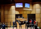 Hip 1542, Fasig-Tipton October Sale 2025