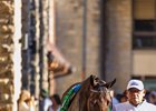 Thorpedo Anna in the paddock
Gin Gin with Luis Saez up wins the Juddmonte Spinster (G1) at Keeneland on Oct. 5, 2025.