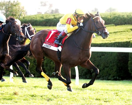 Admit wins the Valley View Stakes at Keeneland