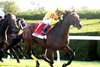 Admit wins the 2025 Valley View Stakes at Keeneland