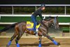 Baeza
Morning training at Del Mar with Breeders’ Cup contenders at Del Mar Thoroughbred Club in Del Mar, CA,  on Oct. 27, 2025.
