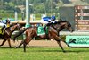 Amerman Racing's homebred Test Score and jockey Juan Hernandez win the Grade II $200,000 Twilight Derby Saturday, October 25, 2025 at Santa Anita Park, Arcadia, CA. The 3-year-old son of Lookin At Lucky is trained by H. Graham Motion.
Benoit Photo