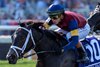 Cy Fair with Irad Ortiz wins The 7th Running of Breeders’ Cup Juvenile Turf Sprint (Grade I) at Del Mar October 31, 2025