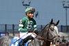 Rated by Merit wins the 2025 Discovery Stakes at Aqueduct Racetrack