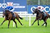 Trawlerman (William Buick) beats Sweet William in the Long Distance Cup
Ascot 18.10.25 Pic: Edward Whitaker