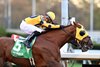 Bank Frenzy wins the 2025 Empire Classic Stakes at Aqueduct Racetrack
