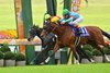 Embroidery (JPN) wins the 2025 Shuka Sho at Kyoto Race Course
