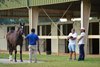 2025 OBS October Yearling Sale, Scene