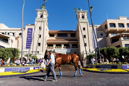 The 2025 Breeders' Cup will be contested at Del Mar