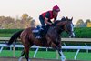 Diego Velazquez training on the main dirt track
Training at Keeneland on Oct. 1, 2025.