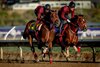 Forever Young (outside) with Ryusei Sakai works with American Stage as he completes his final workout for the Breeders’ Cup Classic at Del Mar Racetrack in Del Mar, CA on October 29, 2025. Photo By: Alex Evers