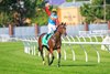 Randwick Race Day - The Everest: 18/10/2025 The TAB Everest (1200 Metres)
Ka Ying Rising (NZ), trained by David Hayes, ridden by Zac Purton