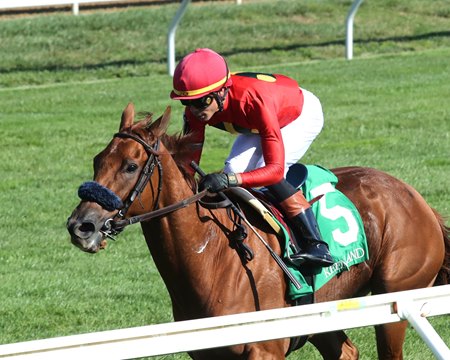 Ayra Stark wins an allowance race at Keeneland