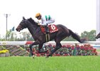 Shohei wins the Kyoto Shimbun Hai (G2) May 10