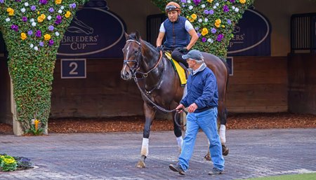 Sovereignty schools in the paddock with Bill Mott by his side at Del Mar