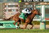 Eclipse Thoroughbred Partners' Warming and jockey Juan Hernandez win the Grade III $100,000  Autumn Miss Stakes Sunday October 26, 2025 at Santa Anita Park, Arcadia, CA.
Benoit Photo