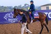 Bellezza with trainer Miguel Clement
Morning training at Del Mar with Breeders’ Cup contenders at Del Mar Thoroughbred Club in Del Mar, CA, on Oct. 28, 2025.