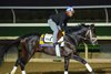 Mindframe
Morning training at Del Mar with Breeders’ Cup contenders at Del Mar Thoroughbred Club in Del Mar, CA, on Oct. 27, 2025.
