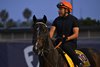 Sovereignty
Morning training at Del Mar with Breeders’ Cup contenders at Del Mar Thoroughbred Club in Del Mar, CA, on Oct. 25, 2025.