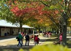 Scenics, Fasig-Tipton November Sale 2025