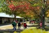 Scenics, Fasig-Tipton November Sale 2025
