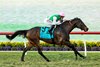 Juddmonte's Segesta and jockey Flavien Prat win the Grade I $300,000 Matriarch Stakes Sunday, November 30, 2025, at Del Mar Thoroughbred Club, Del Mar, CA.
Benoit Photo