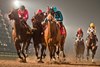 Jockey Rafael Hernandez guides Nobals to victory in the Grade II bet365 Kennedy Road Stakes over 6 furlongs for owner Patricia's Hope LLC and trainer Larry Rivelli. Woodbine/Michael Burns Photo