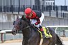 Doc Sullivan wins the 2025 New York Stallion Series Stakes - Thunder Rumble Division at Aqueduct Racetrack