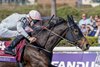 Ethical Diamond with Dylan McMonagle wins the Turf (G1T) at Del Mar Racetrack in Del Mar, CA on November 1, 2025.