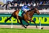 Pride Of Jenni wins the 2025 Empire Rose Stakes at Flemington Racecourse
ridden by Declan Bates and trained by Ciaron Maher