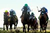 Augustin Stables' Mrs. Astor and jockey Umberto Rispoli, outside, hold off Public Assembly and Antonio Fresu, right, to win the Grade III $100,000 Red Carpet Stakes Sunday, November 23, 2025 at Del Mar Thoroughbred Club, Del Mar, CA.
Benoit Photo
