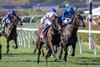 Ethical Diamond with Dylan McMonagle wins the Turf (G1T) at Del Mar Racetrack in Del Mar, CA on November 1, 2025.