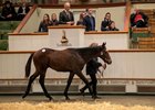 Lot 882 Frankel (GB) / Cloudy Dawn (IRE) Gr.C. (GB) West Blagdon Stud M V Magnier 1,150,000
Tattersalls December Foal Sale
28NOV25
